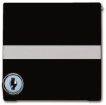 BJ ZWISCHENRING AW44 F. 2118 GKSLN/11-31 