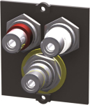 Bachmann Rahmen 1xVideo+Cinch    917.026 