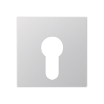 JG Abd.f.Schlüsselschalter   A 525 PL AL 