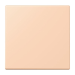 Jung Wippe f.Schalter/Taster    LC990234 