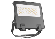 LAS LED Flutstrahler        LS-MP50CW-61 