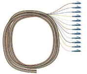 EasyLan 1x12 Pigtailsatz    LVCFP12LCOS2 