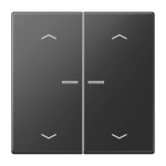 Jung Wippe m.Lichtleiter LS 102 KO5P SWM 