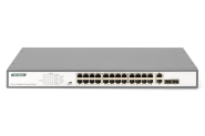 Assmann 24-Port Fast Ethernet   DN-95343 