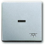 BJ Wippe Symbol Licht future   1789LI-83 