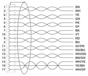 Phoenix       SAC-17P-10,0-35T/FS SH SCO 