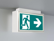 RP RZ-Leuchte Decke, ZBA, inkl.   LMD019 