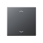 Jung Steuertaste Standard    A1700BFPANM 