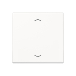 Jung Steuertaste Standard       A1700PWW 