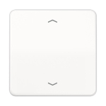 Jung Steuertaste Standard      CD1700PWW 