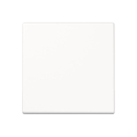 Jung Steuertaste Std.            A1700WW 