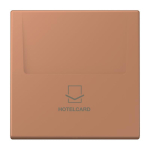 Jung Hotelcard-Schalter  LC 590 CARD 236 