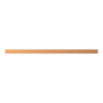 STRIE ZXM2065 CU-Schiene 20x5mm, ZXM2065 