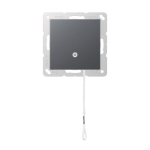 Jung Zug-Wechselschalter    A506BFNUZANM 