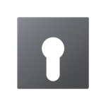 Jung Abdeckung                 A525PLANM 