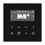 Jung Smart Radio DAB+            DABLSSW 