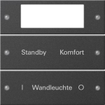 GIRA 2212005 Wippenset 2fach Plus 