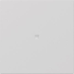 GIRA 3490015 Wippe gerade Kontroll- 