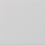 GIRA 3496015 Wippe gerade System 55 