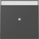 GIRA 3670005 Wippe Kontrollfenster+BSF 