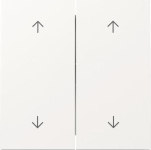 GIRA 329770 Wippe 2f Pfeile 