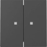 GIRA 3631005 Wippe 2fach Kontrollfenster 