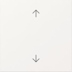 GIRA 361603 Wippe Pfeile System 55 