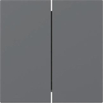 GIRA 349528 Wippe 2fach gerade System 55 