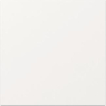 GIRA 349603 Wippe gerade System 55 