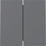 GIRA 329528 Wippe 2fach System 55 