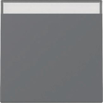 GIRA 329928 Wippe Beschriftungsfeld 