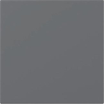 GIRA 349628 Wippe gerade System 55 