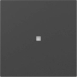 GIRA 3490005 Wippe gerade Kontroll- 