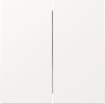 GIRA 329570 Wippe 2f Flächenschalter 