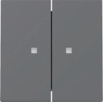 GIRA 363128 Wippe 2fach Kontrollfenster 