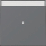 GIRA 367028 Wippe Kontrollfenster+BSF 