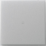 GIRA 349065 Wippe gerade Kontrollfenster 