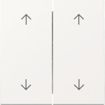 GIRA 329703 Wippe 2fach Pfeile 