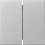 GIRA 329526 Wippe 2fach System 55 