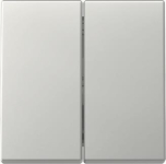 GIRA 3295600 Wippe 2fach System 55 