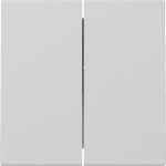 GIRA 3295015 Wippe 2fach System 55 