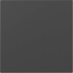 GIRA 3496005 Wippe gerade System 55 