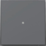 GIRA 349067 Wippe gerade Kontrollfenster 