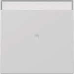 GIRA 3670015 Wippe Kontrollfenster+BSF 