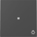 GIRA 3674005 Wippe Kontrollfenster+Symb. 