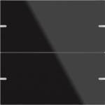 GIRA 502205 Wippenset 2fach Tastsensor4 