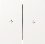 GIRA 329470 Wippe 2f Pfeil 