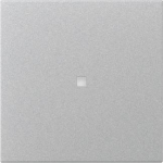 GIRA 349026 Wippe gerade Kontrollfenster 