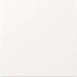 GIRA 329670 Wippe Flächenschalter 