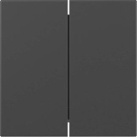 GIRA 3495005 Wippe 2fach gerade 